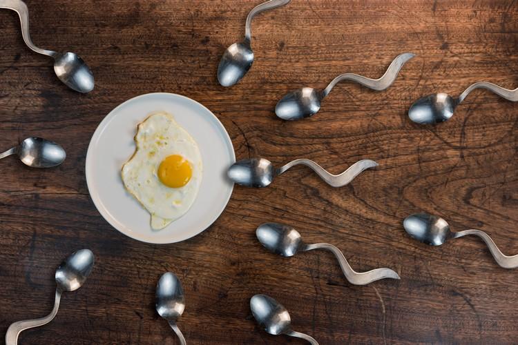 Astuces pour stimuler son ovulation
